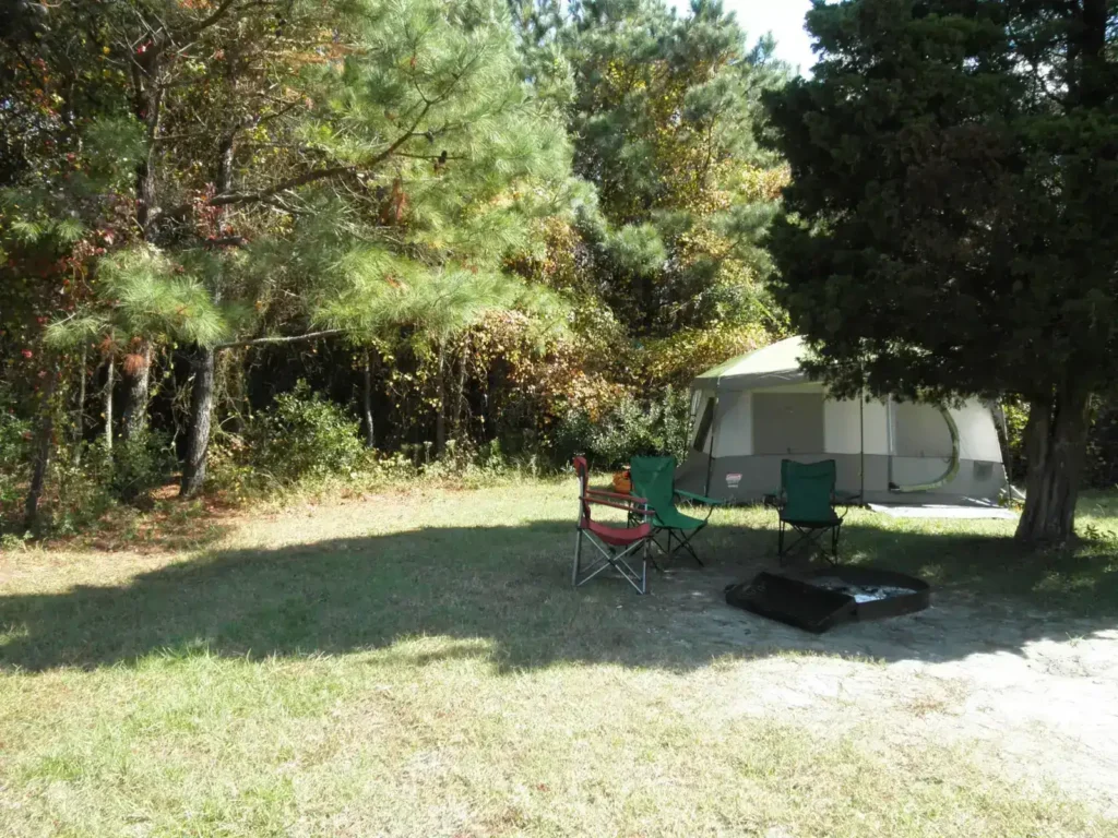 Camping en Aranjuez: Samay, bungalows, parcelas y guía práctica