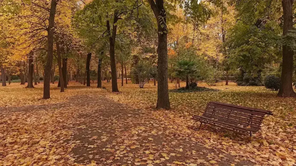 Jardines de Aranjuez: horarios, qué ver y guía para visitarlos